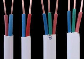ZC-BVVB 型号：2芯（0.5mm²²～16mm²²）