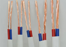 ZC-BVVB（2类 ）型号：2芯（0.5mm²²～16mm²²）